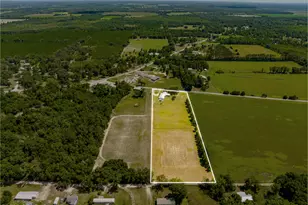 6454 Hartsfield Rd, Greenwood, FL 32443 - Photo 39