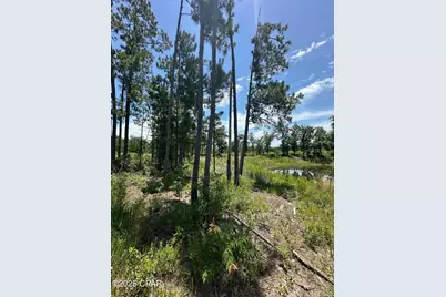 000 NW Camp Head Road, Altha, FL 32421 - Photo 9