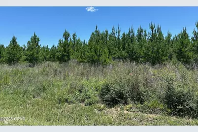 000 NW Camp Head Road, Altha, FL 32421 - Photo 3