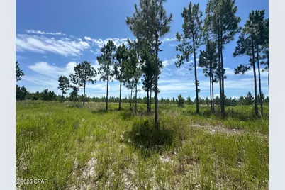 000 NW Camp Head Road, Altha, FL 32421 - Photo 13