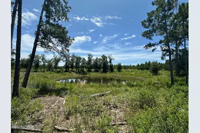 000 NW Camp Head Road, Altha, FL 32421 - Photo 7