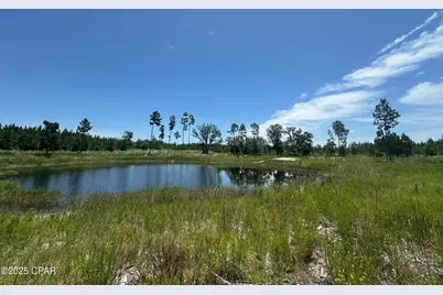 000 NW Camp Head Road, Altha, FL 32421 - Photo 11