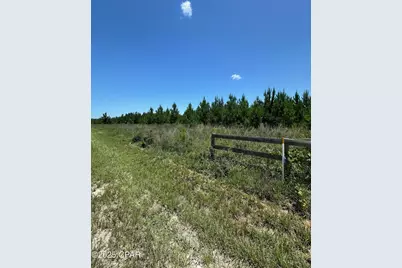 000 NW Camp Head Road, Altha, FL 32421 - Photo 5