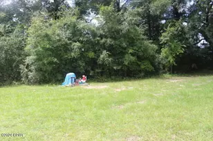 4583 Dickson Rd, Greenwood, FL 32443 - Photo 15
