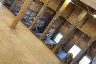 490 Quail Hollow Blvd, Chipley, FL 32428 - Photo 51