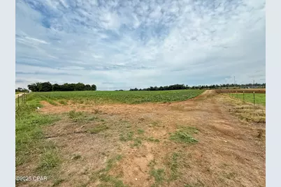 [Address not provided], Grand Ridge, FL 32442 - Photo 9