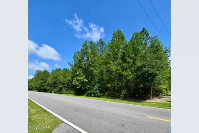 Xx Highway 162, Bonifay, FL 32425 - Photo 3