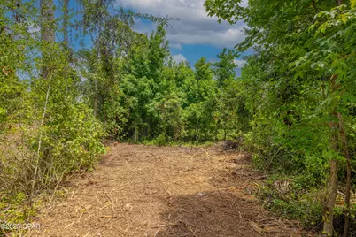 Lot F Osprey Point, Southport, FL 32409 - Photo 9