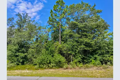 Lot 10 Challenger Boulevard, Chipley, FL 32428 - Photo 1