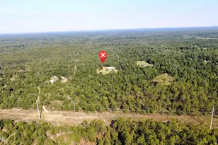 20512 Dickerson Rd, Fountain, FL 32438 - Photo 49