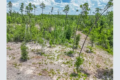 16208 Kathy Lane, Youngstown, FL 32466 - Photo 15