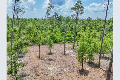 16208 Kathy Lane, Youngstown, FL 32466 - Photo 9