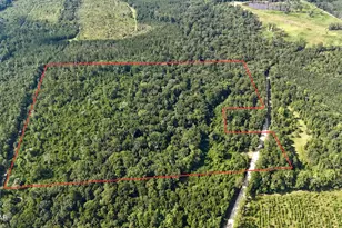 37+acres Ten Mile Rd, Bonifay, FL 32425 - Photo 1