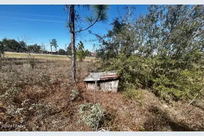 00 NW Cr-274, Altha, FL 32421 - Photo 15