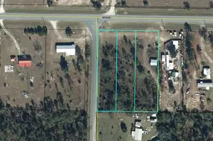 00 NW Cr-274, Altha, FL 32421 - Photo 1