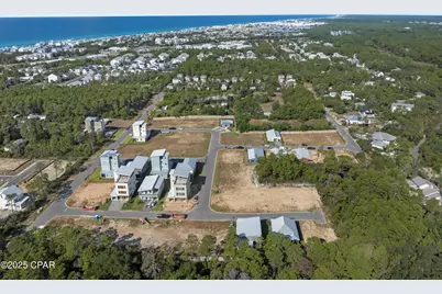 32 Asher Street #Lot 36, Inlet Beach, FL 32461 - Photo 49