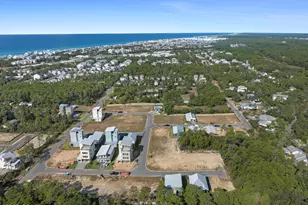 32 Asher St, Inlet Beach, FL 32461 - Photo 49