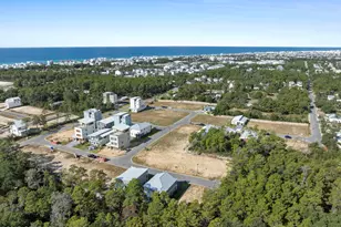 32 Asher St, Inlet Beach, FL 32461 - Photo 45