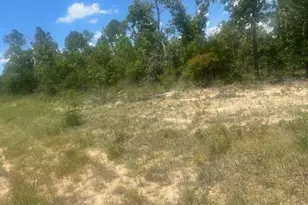 Tbd Cachet Ct, Chipley, FL 32428 - Photo 1