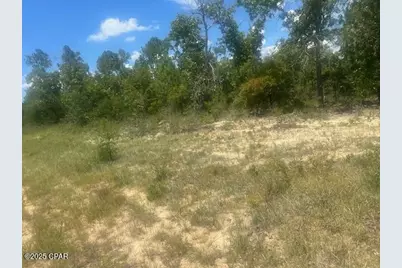 Tbd Cachet Court #9, Chipley, FL 32428 - Photo 1