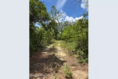 248 Ball Park Road, Alford, FL 32420 - Photo 45