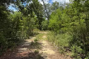 248 Ball Park Rd, Alford, FL 32420 - Photo 45