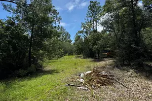 248 Ball Park Rd, Alford, FL 32420 - Photo 43