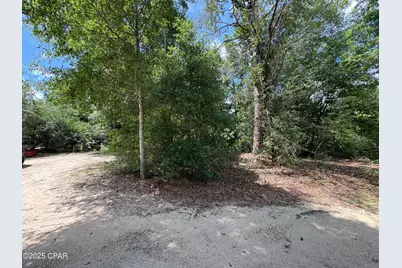 248 Ball Park Road, Alford, FL 32420 - Photo 47