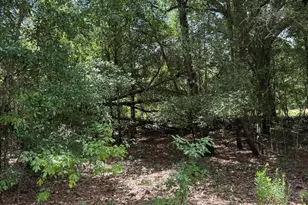 248 Ball Park Rd, Alford, FL 32420 - Photo 41