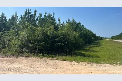 0 SE Nadine Stone Landing Road, Kinard, FL 32449 - Photo 3