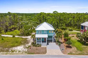 225 Cord Grass Way, Port Saint Joe, FL 32456 - Photo 41