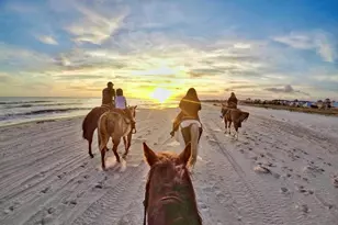 225 Cord Grass Way, Port Saint Joe, FL 32456 - Photo 51