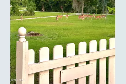 2666 Indian Springs Road, Marianna, FL 32446 - Photo 5