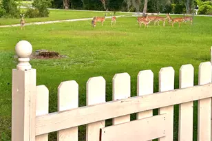 2666 Indian Springs Rd, Marianna, FL 32446 - Photo 5