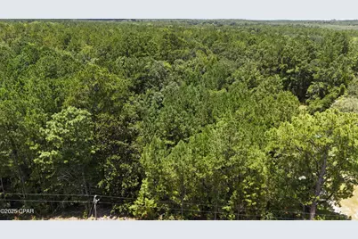 1794 Highway 79, Bonifay, FL 32425 - Photo 3