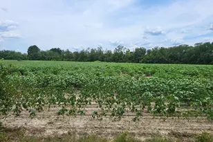 000 Joiner Rd, Chipley, FL 32428 - Photo 1