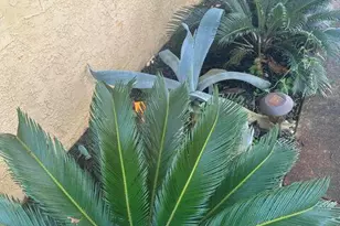 110 S Vestavia St, Panama City Beach, FL 32413 - Photo 47