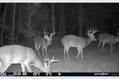 Xxx Greensboro Highway, Quincy, FL 32351 - Photo 3