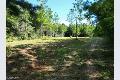 Xxx Greensboro Highway, Quincy, FL 32351 - Photo 7