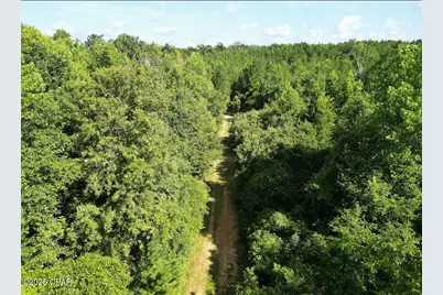 Xxx Greensboro Highway, Quincy, FL 32351 - Photo 11