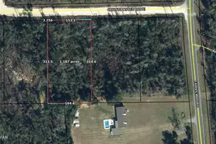 Tbd Christiansted Dr, Alford, FL 32420 - Photo 3