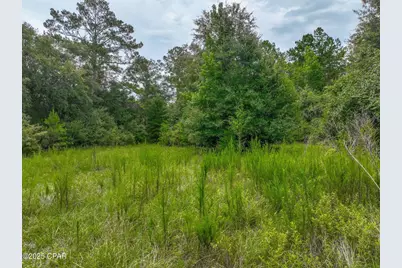 2830 Sr-81 Highway, Ponce de Leon, FL 32455 - Photo 7