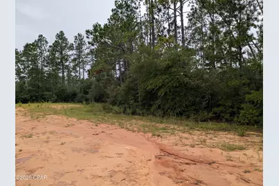 0 Deshutes Drive, Alford, FL 32420 - Photo 1