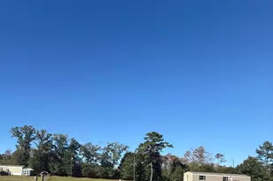 2336 Hwy 179A, Westville, FL 32464 - Photo 13