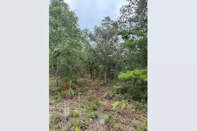 4539 NW Miller/White Ln Road, Altha, FL 32421 - Photo 35