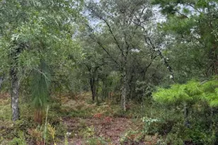 4539 NW Miller/White Ln Rd, Altha, FL 32421 - Photo 35