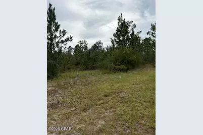 4539 NW Miller/White Ln Road, Altha, FL 32421 - Photo 33