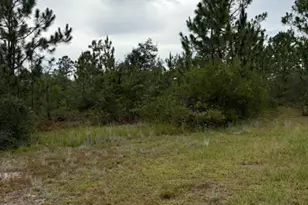 4539 NW Miller/White Ln Rd, Altha, FL 32421 - Photo 33