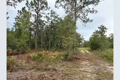 4539 NW Miller/White Ln Road, Altha, FL 32421 - Photo 37