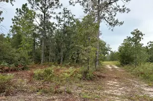 4539 NW Miller/White Ln Rd, Altha, FL 32421 - Photo 37